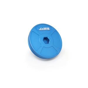 Fuel Filter Output Cap